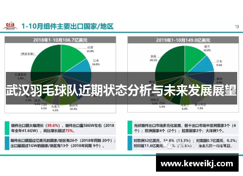 武汉羽毛球队近期状态分析与未来发展展望