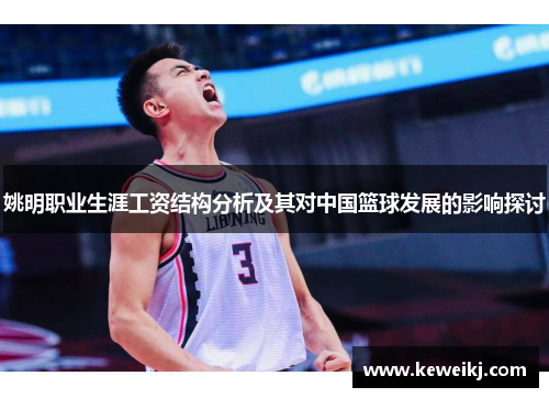 姚明职业生涯工资结构分析及其对中国篮球发展的影响探讨